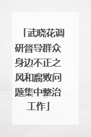 武晓花调研督导群众身边不正之风和腐败问题集中整治工作