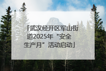 武汉经开区军山街道2025年“安全生产月”活动启动
