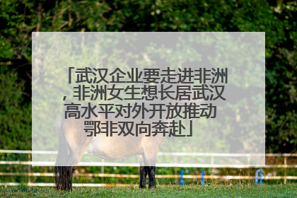 武汉企业要走进非洲，非洲女生想长居武汉 高水平对外开放推动鄂非双向奔赴