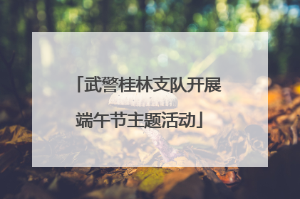 武警桂林支队开展端午节主题活动