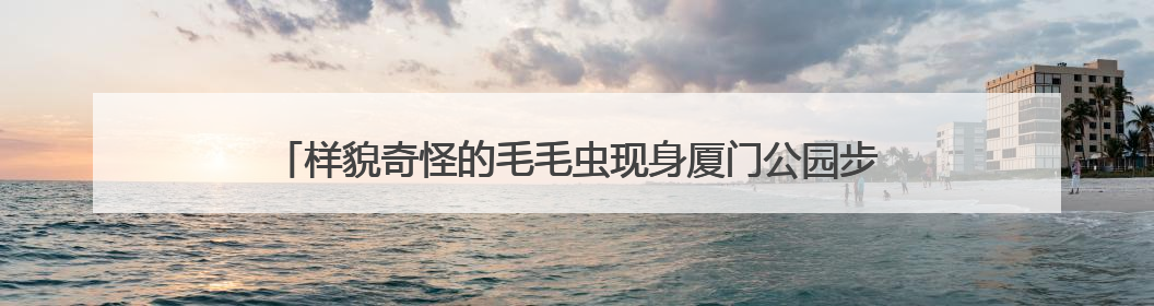 样貌奇怪的毛毛虫现身厦门公园步道，它们是啥？专业人士提醒→