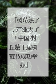 树莓熟了，产业火了！中国·封丘第十届树莓节成功举办