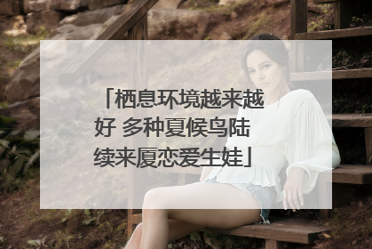 栖息环境越来越好 多种夏候鸟陆续来厦恋爱生娃