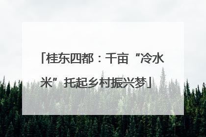 桂东四都：千亩“冷水米”托起乡村振兴梦