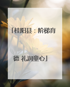 桂阳县：阶梯育德 礼润童心