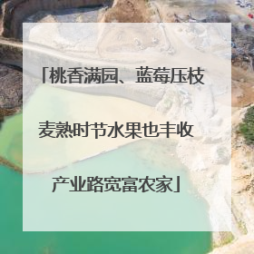 桃香满园、蓝莓压枝 麦熟时节水果也丰收 产业路宽富农家