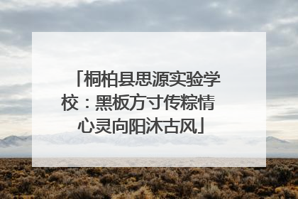 桐柏县思源实验学校：黑板方寸传粽情 心灵向阳沐古风