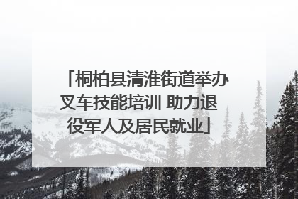 桐柏县清淮街道举办叉车技能培训 助力退役军人及居民就业