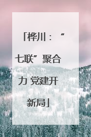 桦川：“七联”聚合力 党建开新局