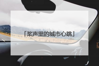桨声里的城市心跳
