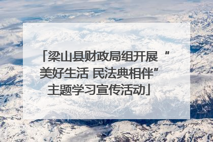 梁山县财政局组开展“美好生活 民法典相伴”主题学习宣传活动