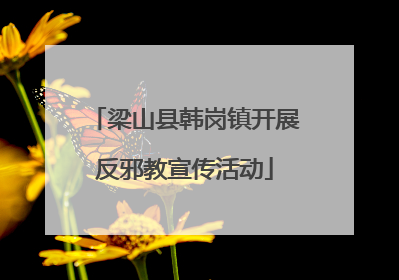 梁山县韩岗镇开展反邪教宣传活动