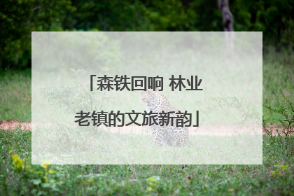 森铁回响 林业老镇的文旅新韵