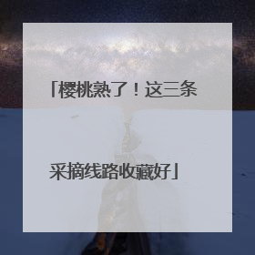 樱桃熟了！这三条采摘线路收藏好