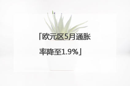 欧元区5月通胀率降至1.9%
