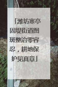 潍坊寒亭固堤街道图斑整治零容忍，耕地保护见真章
