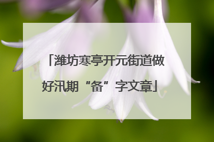 潍坊寒亭开元街道做好汛期“备”字文章
