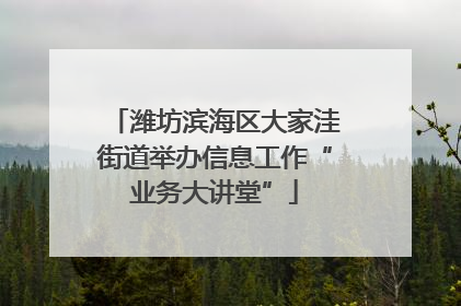 潍坊滨海区大家洼街道举办信息工作“业务大讲堂”