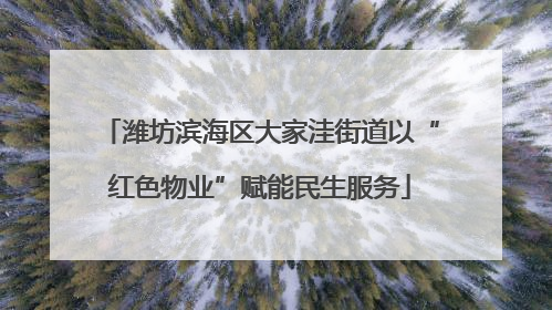 潍坊滨海区大家洼街道以“红色物业”赋能民生服务