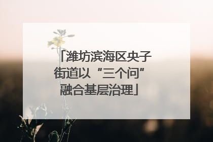 潍坊滨海区央子街道以“三个问”融合基层治理