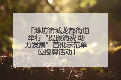 潍坊诸城龙都街道举行“提振消费·助力发展”首批示范单位授牌活动