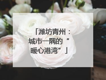 潍坊青州：城市一隅的“暖心港湾”
