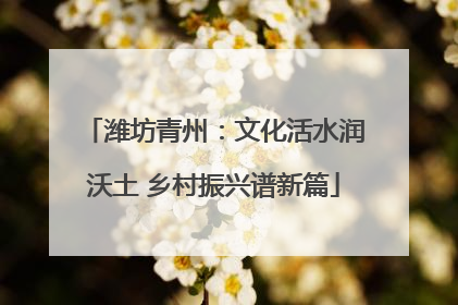潍坊青州：文化活水润沃土 乡村振兴谱新篇