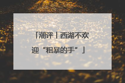 潮评丨西湖不欢迎“粗暴的手”