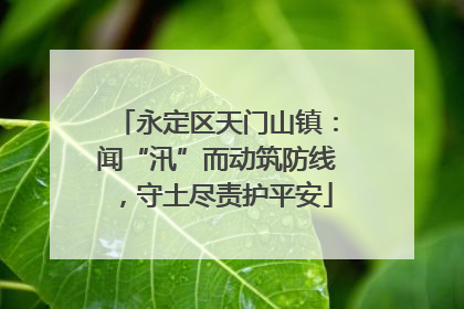 永定区天门山镇：闻“汛”而动筑防线，守土尽责护平安