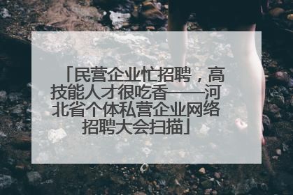 民营企业忙招聘，高技能人才很吃香——河北省个体私营企业网络招聘大会扫描