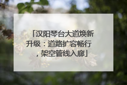 汉阳琴台大道焕新升级：道路扩容畅行，架空管线入廊