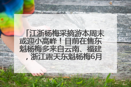 江浙杨梅采摘游本周末或迎小高峰！目前在售东魁杨梅多来自云南、福建，浙江露天东魁杨梅6月中旬大量上市