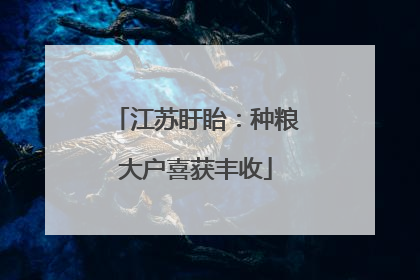 江苏盱眙：种粮大户喜获丰收