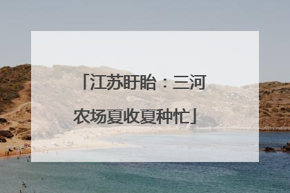 江苏盱眙：三河农场夏收夏种忙