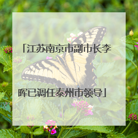 江苏南京市副市长李晖已调任泰州市领导