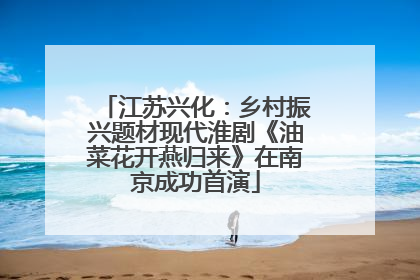 江苏兴化：乡村振兴题材现代淮剧《油菜花开燕归来》在南京成功首演