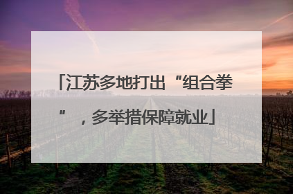 江苏多地打出“组合拳”，多举措保障就业
