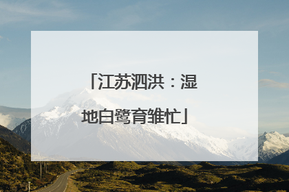 江苏泗洪：湿地白鹭育雏忙