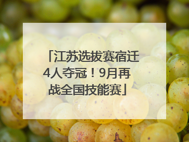 江苏选拔赛宿迁4人夺冠！9月再战全国技能赛