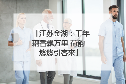 江苏金湖：千年藕香飘万里 荷韵悠悠引客来