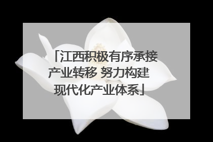 江西积极有序承接产业转移 努力构建现代化产业体系