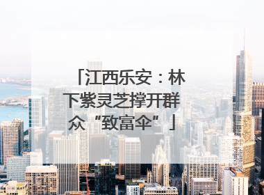 江西乐安：林下紫灵芝撑开群众“致富伞”