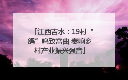江西吉水：19村“鸽”鸣致富曲 奏响乡村产业振兴强音