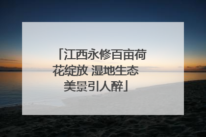 江西永修百亩荷花绽放 湿地生态美景引人醉
