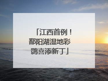 江西首例！鄱阳湖湿地彩鹮喜添新丁