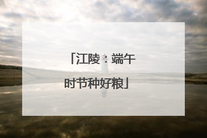 江陵：端午时节种好粮