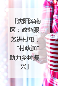 沈阳浑南区：政务服务进村屯，“村政通”助力乡村振兴