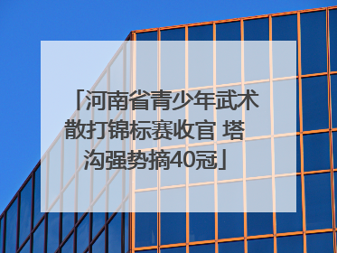 河南省青少年武术散打锦标赛收官 塔沟强势摘40冠