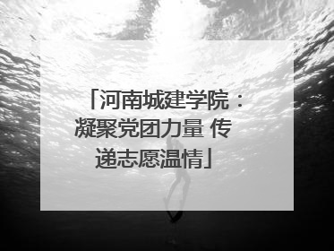 河南城建学院：凝聚党团力量 传递志愿温情