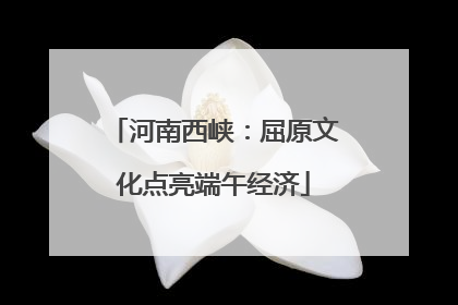 河南西峡：屈原文化点亮端午经济